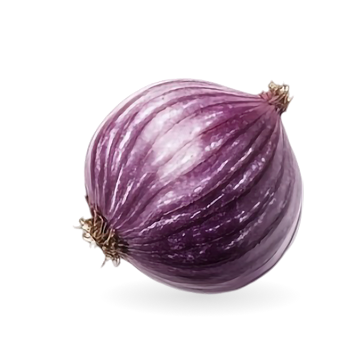 Cebolla Don Ibañez