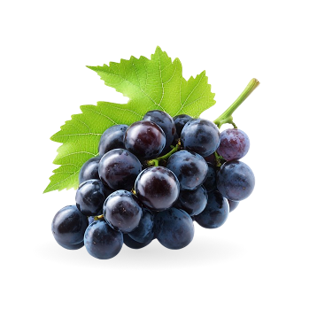 Uvas Don Ibañez